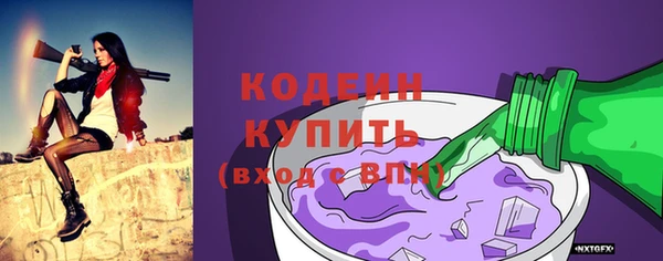 шишки Медвежьегорск