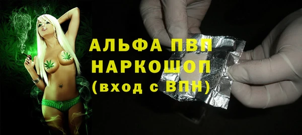шишки Медвежьегорск