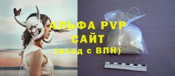 гидра Магас