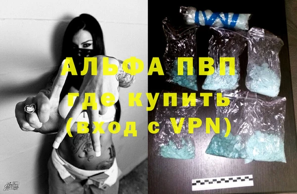 шишки Медвежьегорск