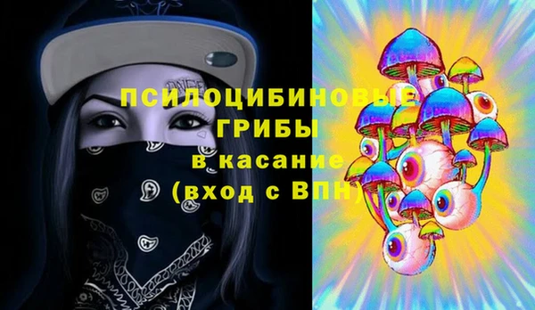 шишки Медвежьегорск