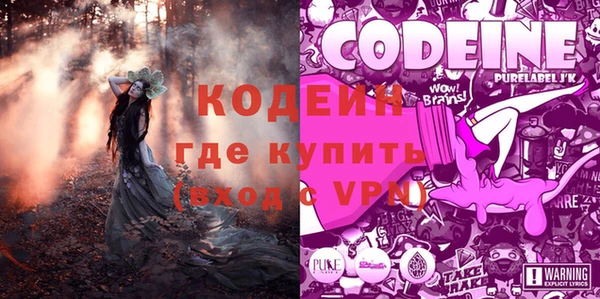 шишки Медвежьегорск