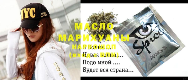 шишки Медвежьегорск